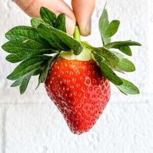 Natural strawberry flavour